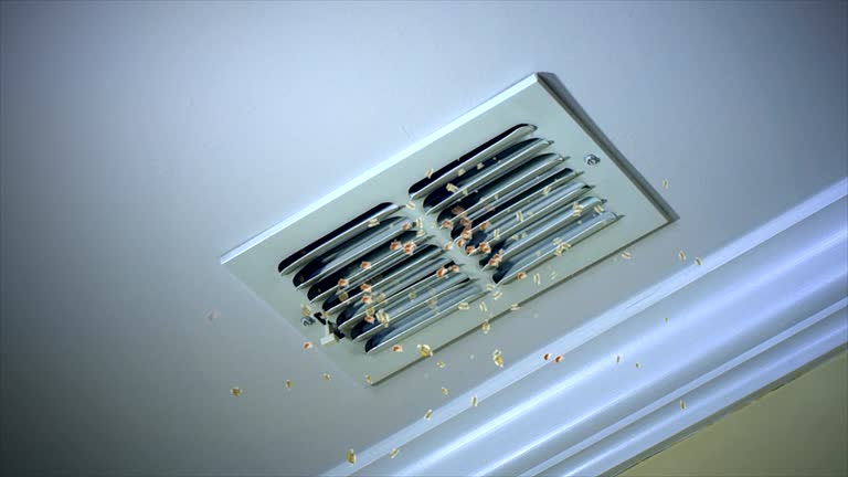 Best Professional Duct Cleaning Services  in Selmer, TN